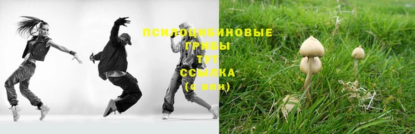 дмт Алексеевка