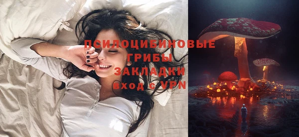 гашик Абаза