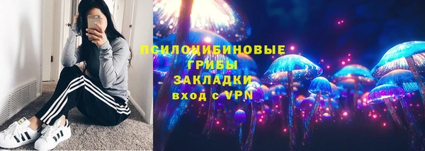 дмт Алексеевка
